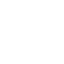 RidgeForce AI logo